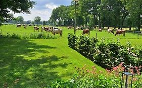 Het Broekeroord