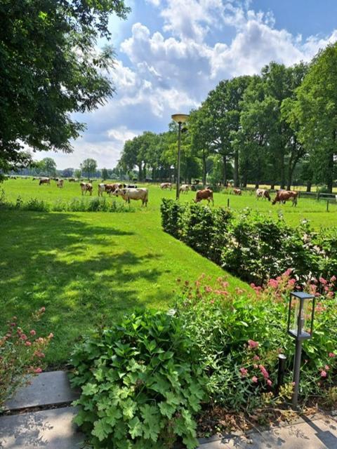 Bed and Breakfast Het Broekeroord Wezep Exterior foto